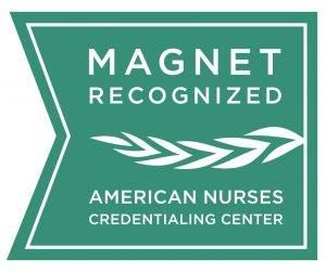 Magnet Recognition program