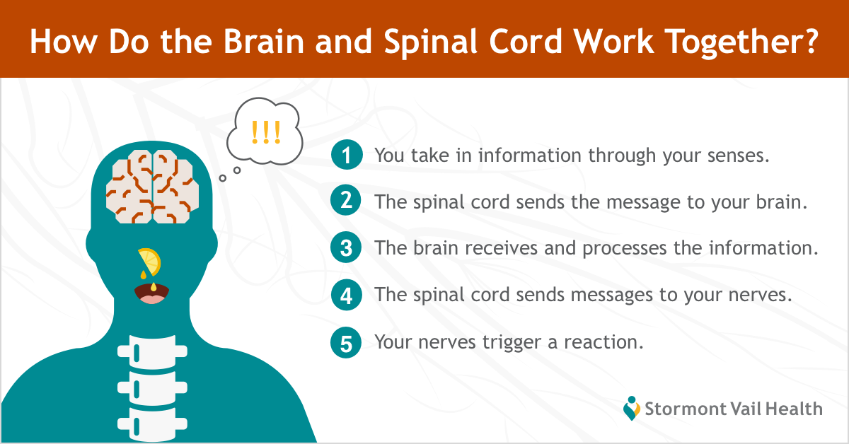 Treat Neurological Disorders In Children Adults Stormont Vail Health