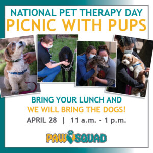 Dogs with people at the national pet therapy day picnic