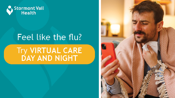 2026 Virtual Visit Mini Flu Campaign_ SVNews StormConn