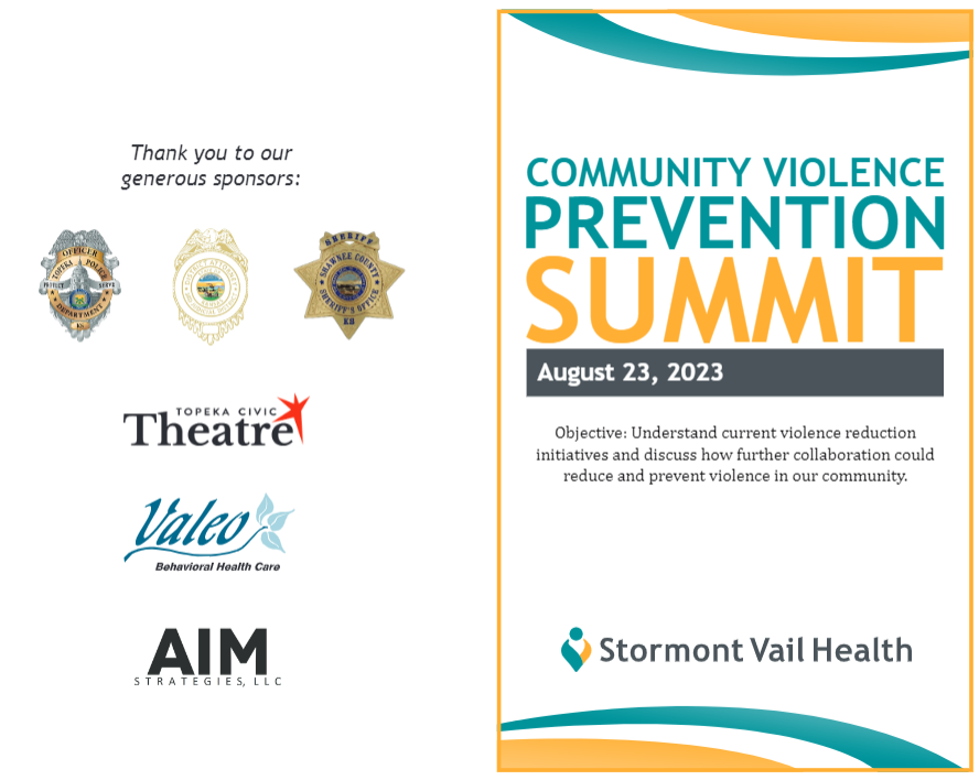community violence summit program