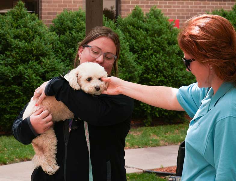Person holding small dog (Shih Tzu mix) while another pets it