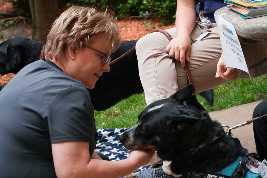Staff interacting with therapy dogs outdoors (mixed breeds)