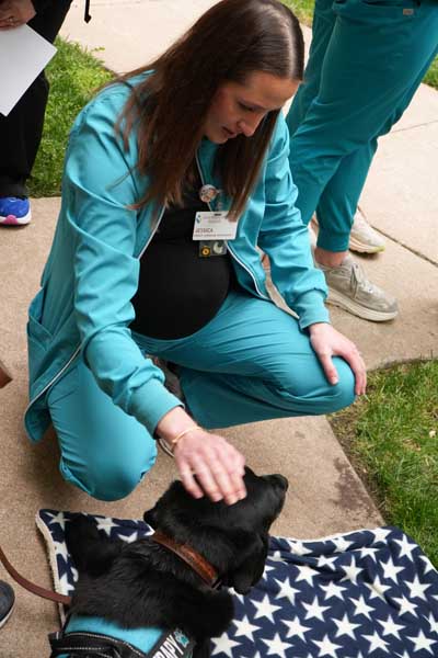 Person kneeling to pet small black dog (terrier mix)