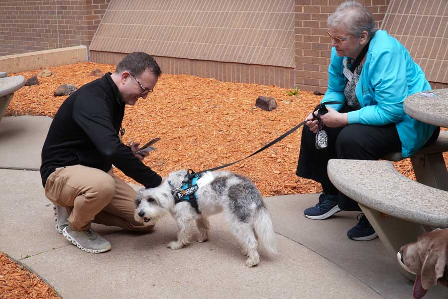 Person petting small white fluffy dog (Maltese/Bichon mix)