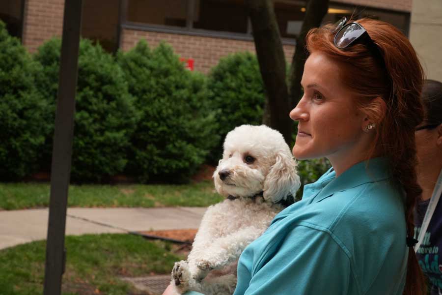 Person holding small white fluffy dog (Maltese/Bichon mix) outdoors