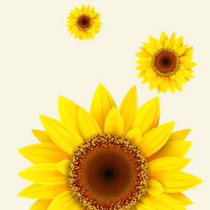 Sunflower-Award-tb