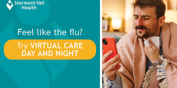2026 Virtual Visit Mini Flu Campaign_ SVNews StormConn