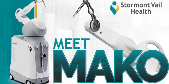 Meet-Mako-StormConn