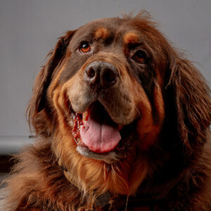 farley_400x400